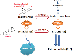 O que é Endometriose