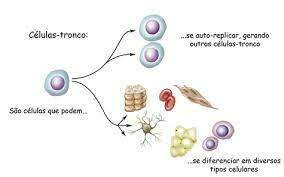 O que é Endometriose