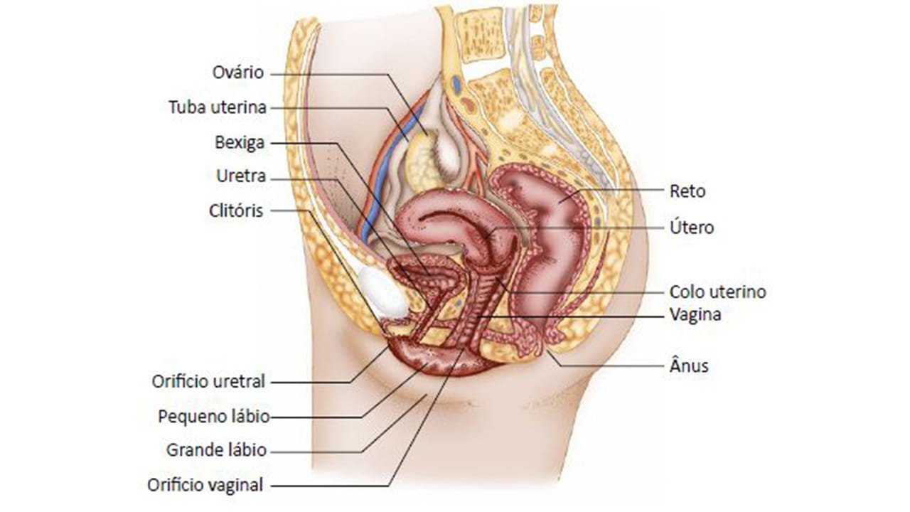 Endometriose intestinal