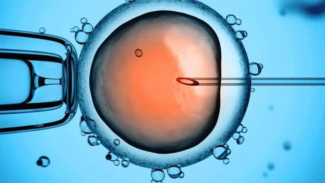 Ilustração de injeção de um espermatozoide em um óvulo durante a técnica de ICSI.