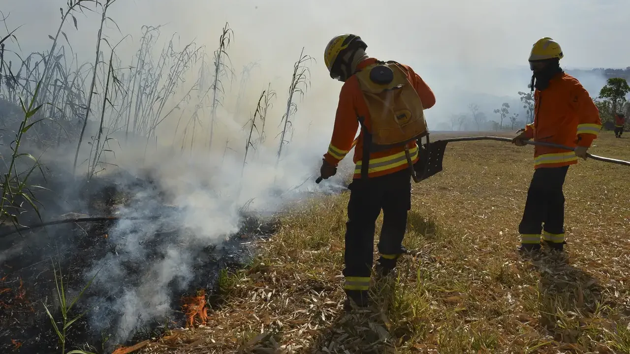 Bombeiros apagando um incêndio, analogia do controle dos sintomas no artigo Endometriose tem cura.