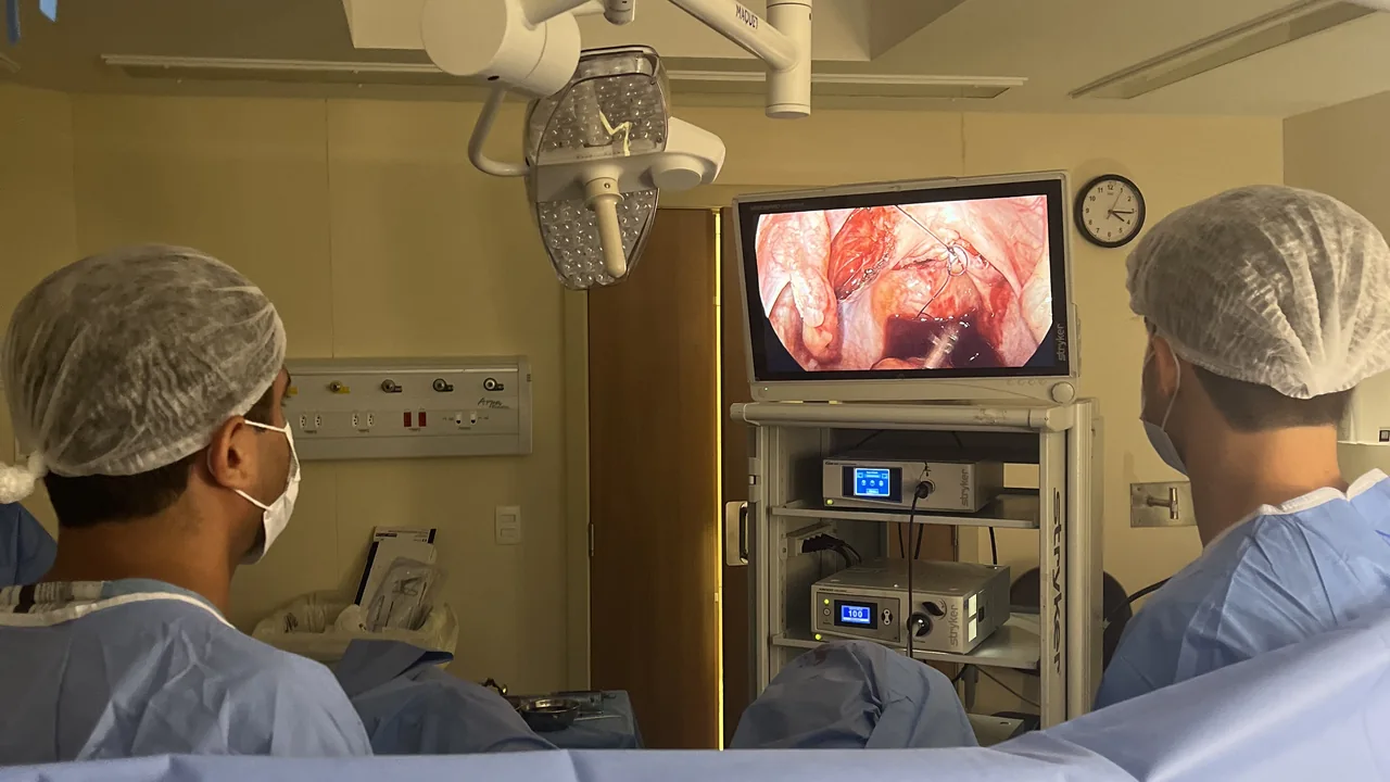 Equipe acompanhando um procedimento no monitor da sala cirúrgica, em imagem do artigo Endometriose tem cura.